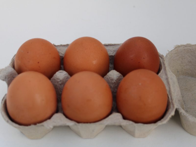 6 oeufs frais - L’Oeuf de la Gailllardière à Sonzay