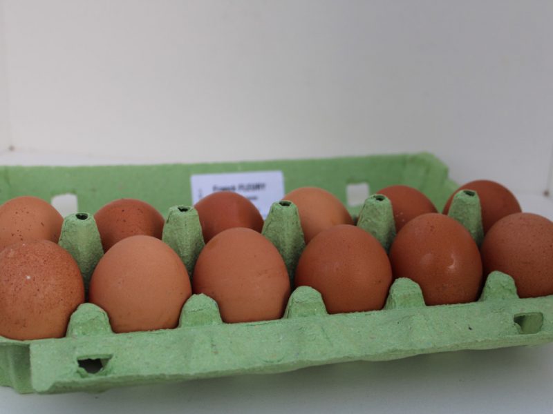 12 oeufs frais - L’Oeuf de la Gailllardière à Sonzay