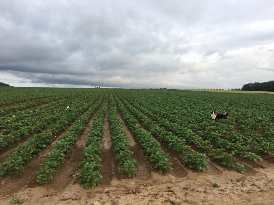 Ferme du Grand Thuré