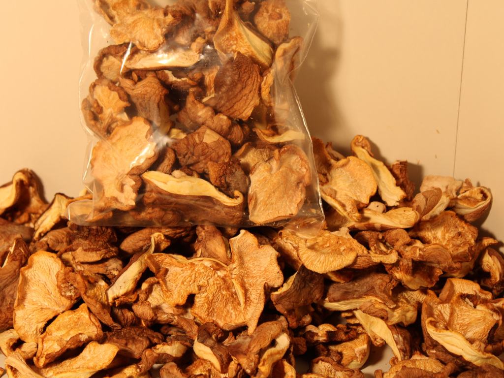 Champignons shiitaké de LA CAVE DES FIGUIERS