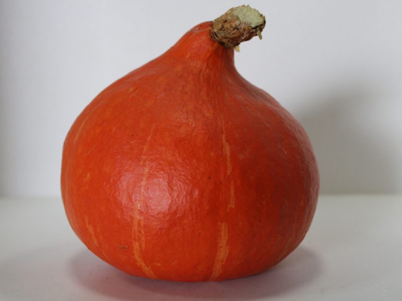 Potimarron - Courge de Neuillé Pont Pierre