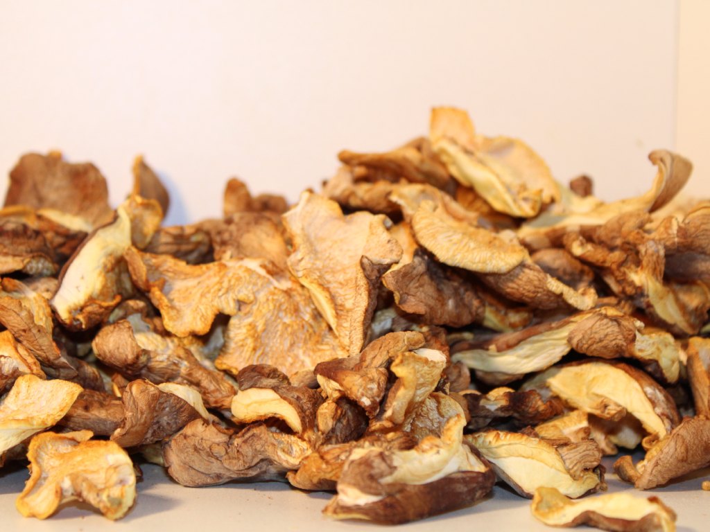 Champignons shiitaké de LA CAVE DES FIGUIERS