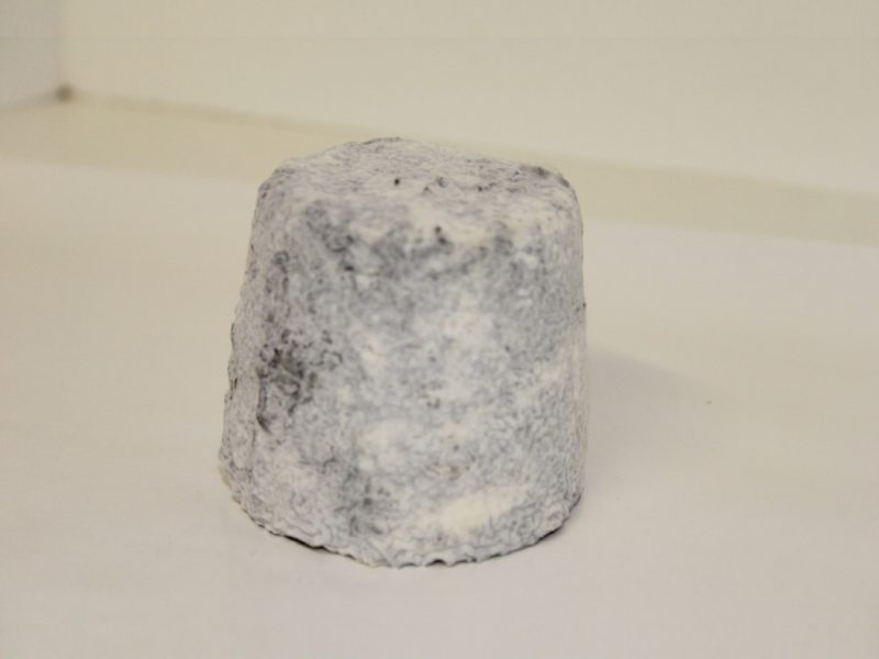 Fromage de chèvres 1/2 sec Petit Pont Pierre