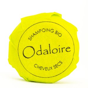 Shampoing solide cheveux secs