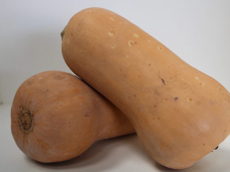 Butternut