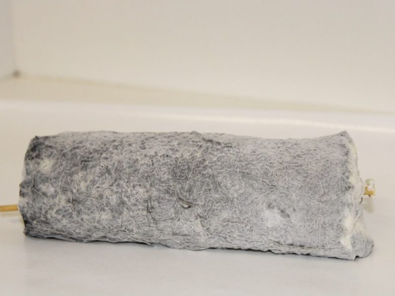 Fromage de chèvre AOP St Maure de Touraine