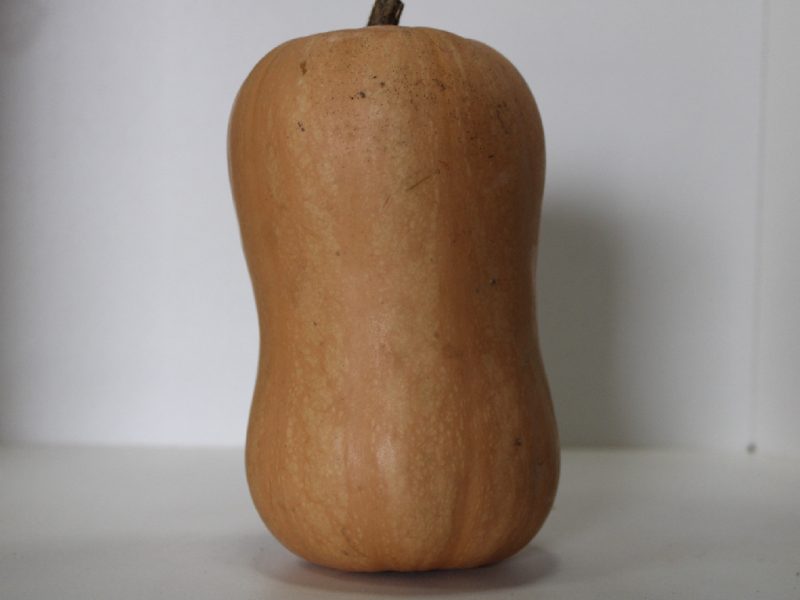 Courge Butternut