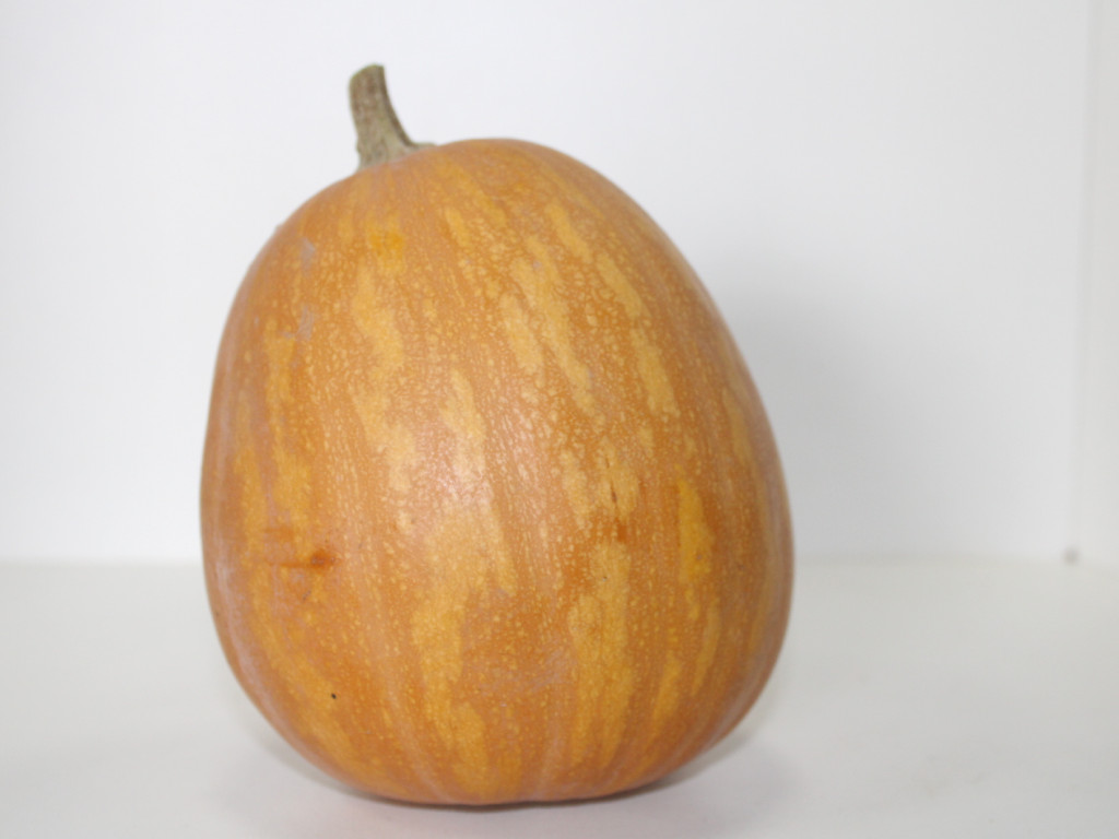 Courge sucrine