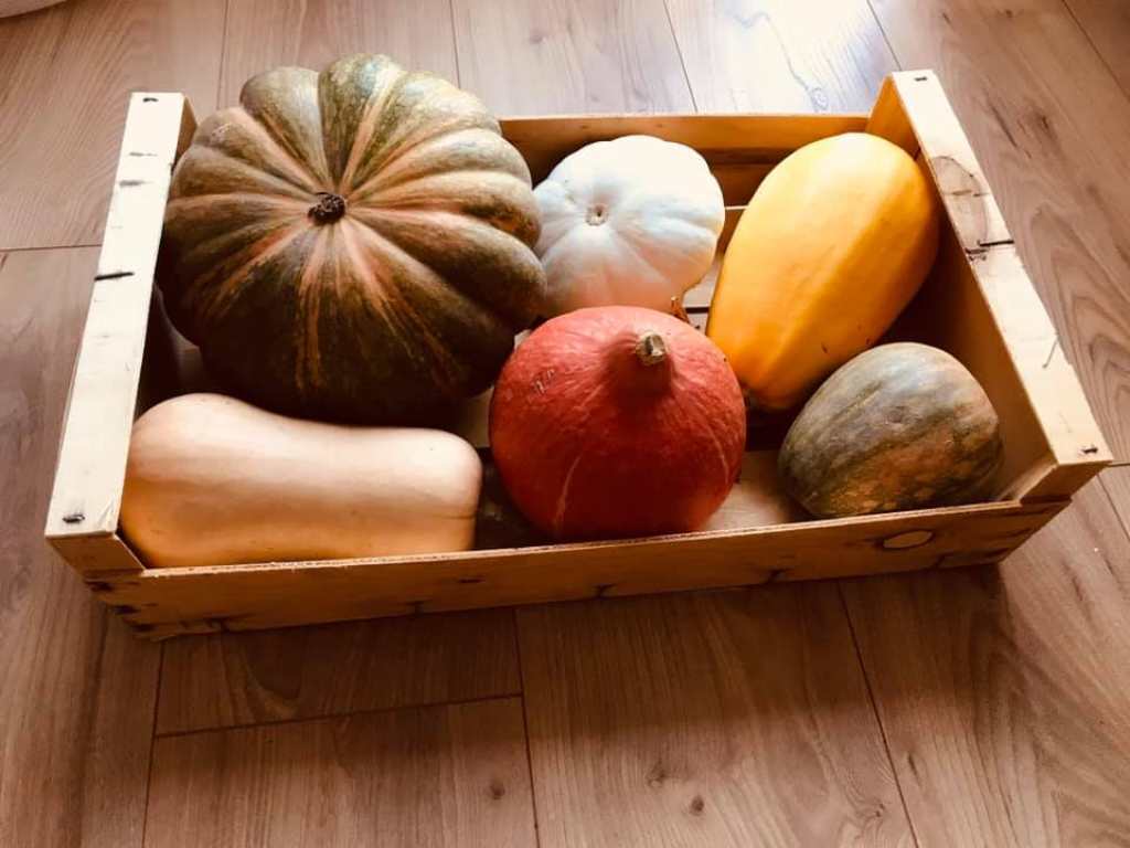 COURGE DE NEUILLÉ PONT PIERRE