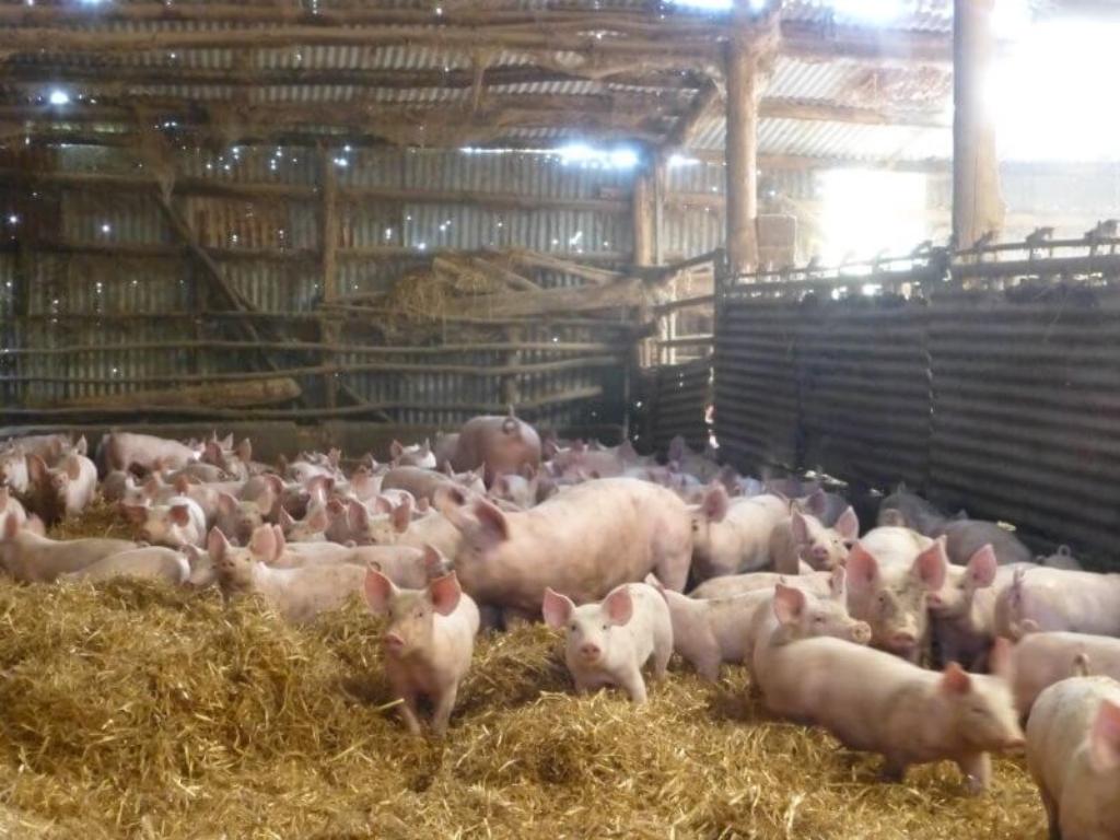 BRUNO PANVERT - AGRICULTEUR BIO