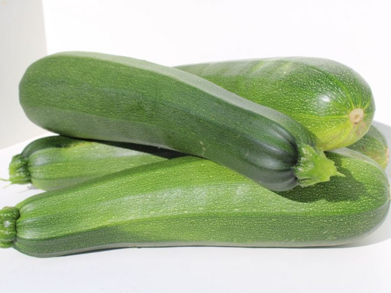 Courgettes vertes - MARAÎCHAGE BIO LES 4 SAISONS