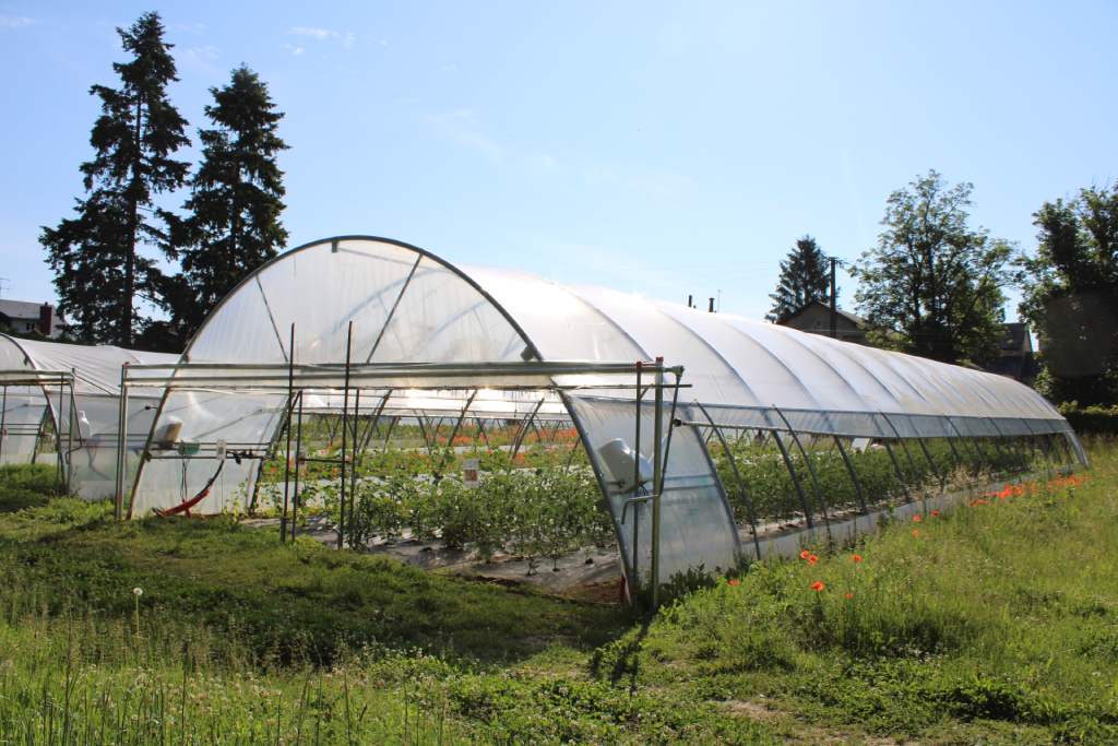 MARAÎCHAGE BIO LES 4 SAISONS