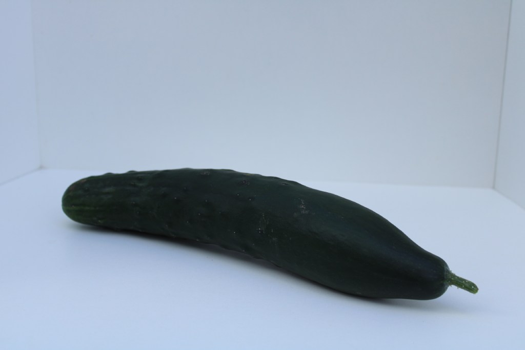 Comcombre-court – Image 4