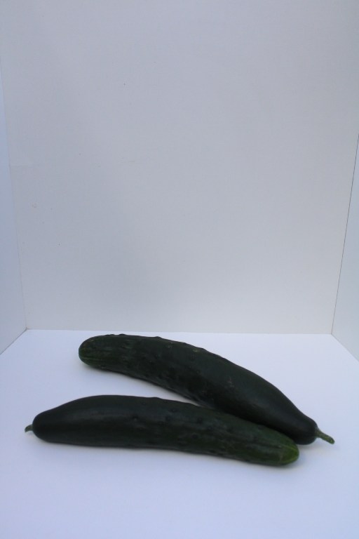 Comcombre-court – Image 3