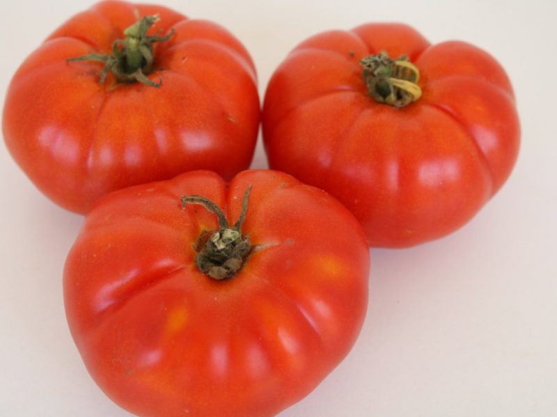 Tomate Marmande