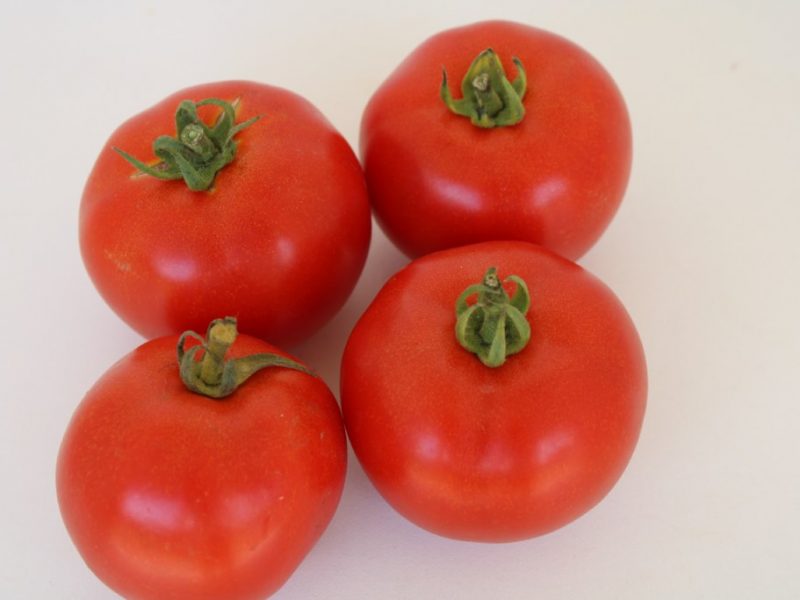 Tomate Paola