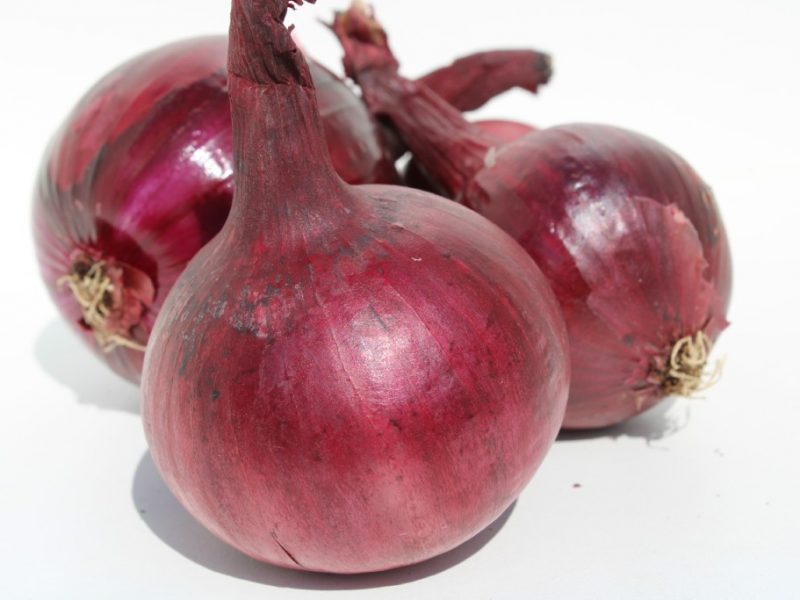 Oignon rouge