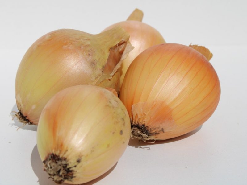 Oignon jaune