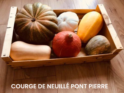 COURGE DE NEUILLÉ PONT PIERRE