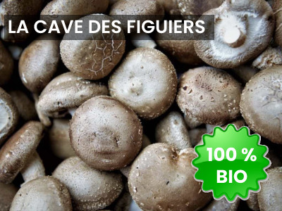LA CAVE DES FIGUIERS