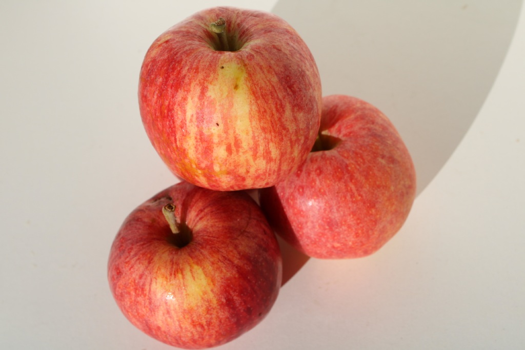 Pomme Gala